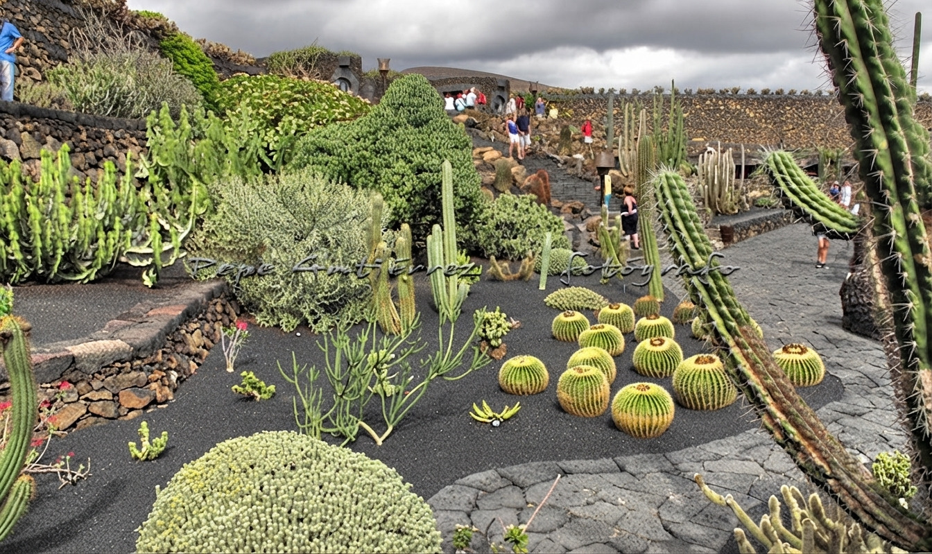 Las Palmas Tour: Vegueta, Jardín Botánico, Crater de Bandama
